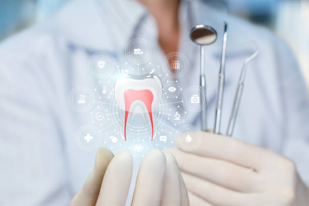 Best Invisalign and Clear Aligners  in Elk Grove Vlage, IL